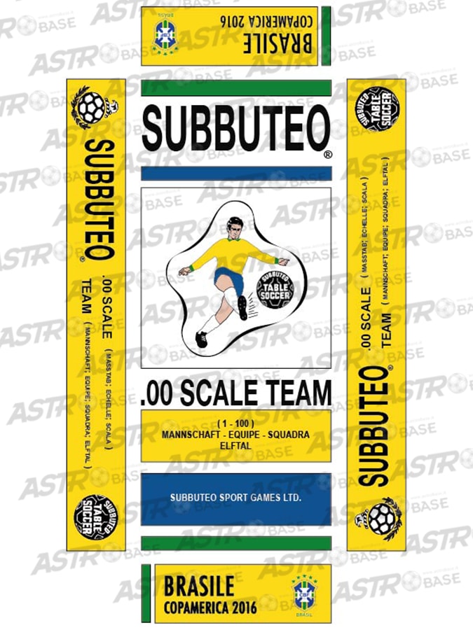 Brazil COPAMERICA 2016