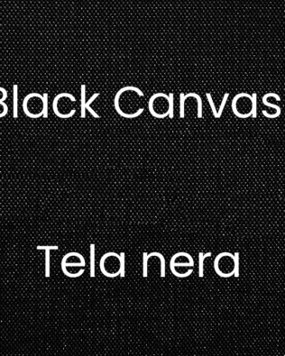Carrying case CLASSIC - PROFESSIONAL - Black canvas