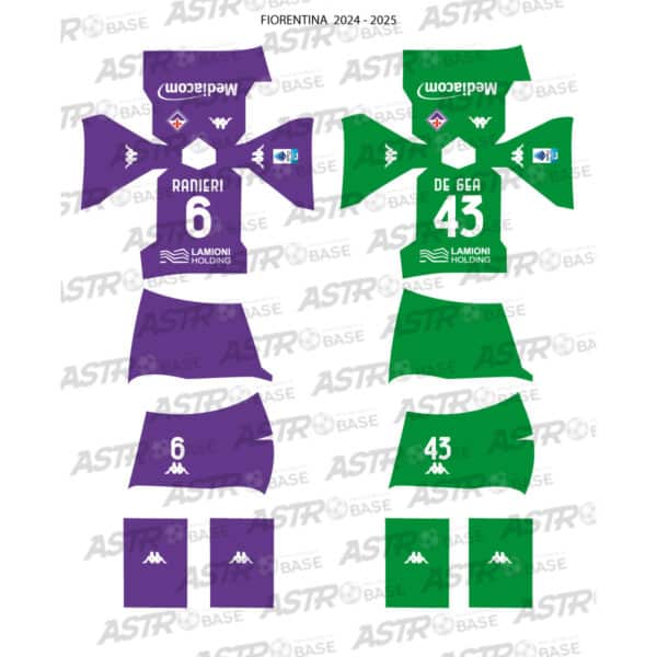 Fiorentina 2024 / 25