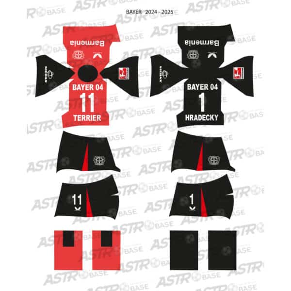 Bayer Leverkusen 2024 / 25