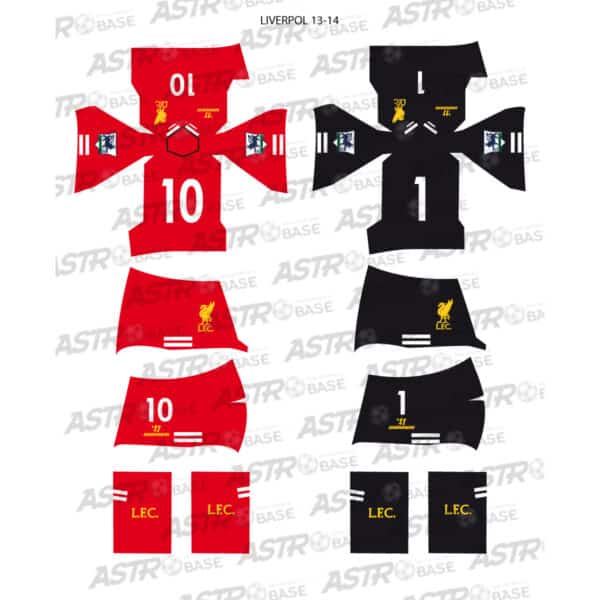 Liverpool 2013 / 14