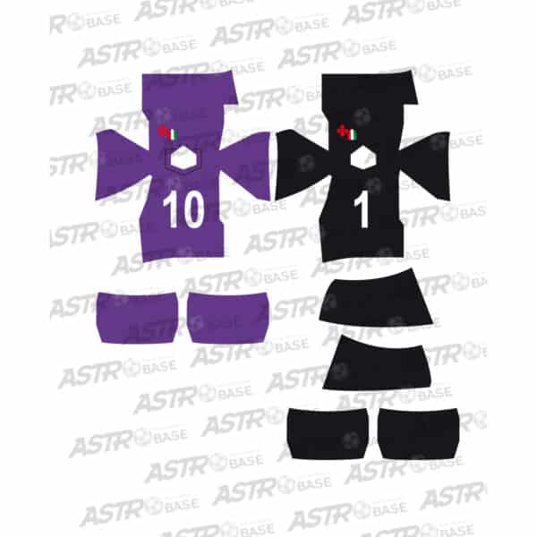 Fiorentina 1969 / 1970