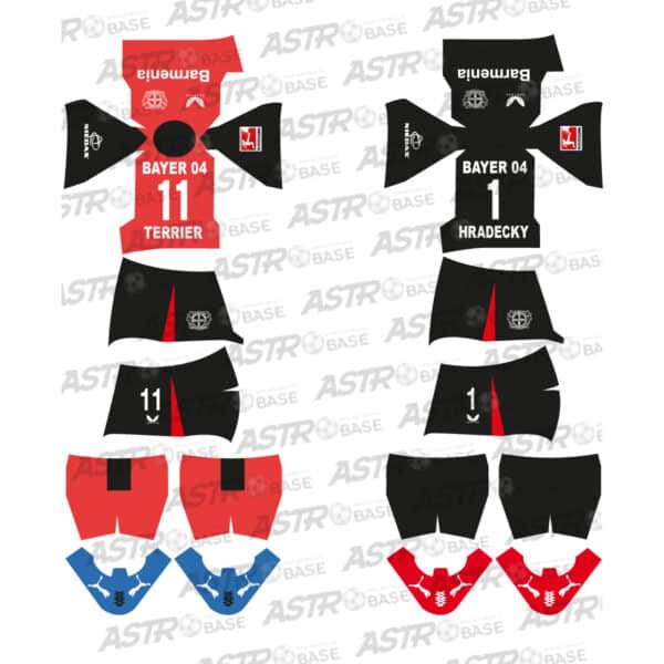 Bayer Leverkusen 2024 / 25
