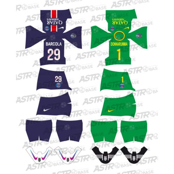 Paris Saint - Germain 2024 / 2025
