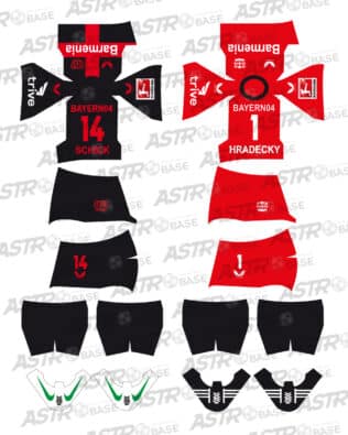 Bayer Leverkusen 2023 / 2024 - For 2K4 figures