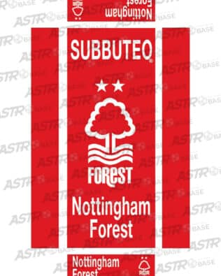 Nottingham Forest red LOGO - With 10 slots tray and for short rodded Subbuteo original keepers