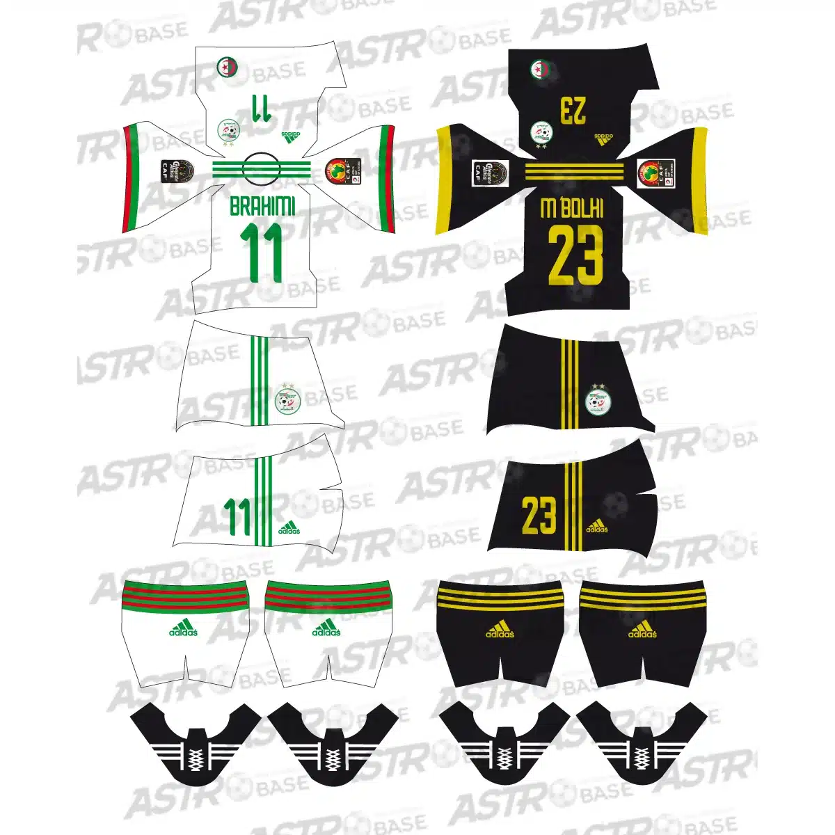 Algeria Africa Cup of Nations 2019