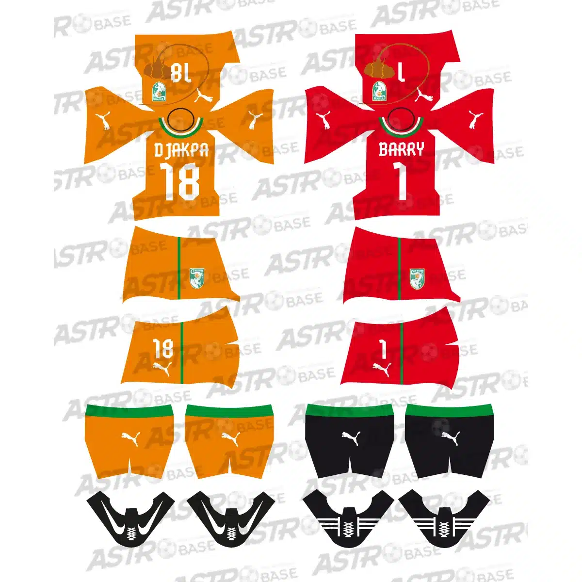 Ivory Coast Africa Cup of Nations 2011 / 2012