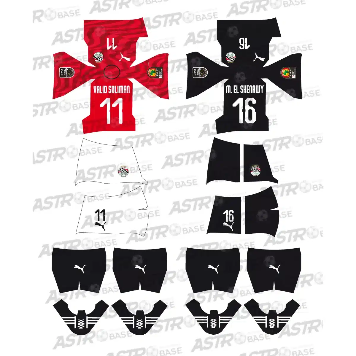 Egypt Africa Cup of Nations 2019