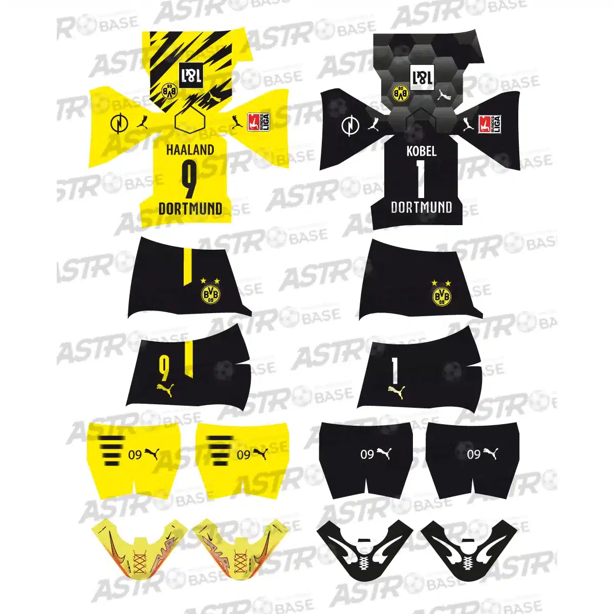 Borussia Dortmund 2020 / 2021