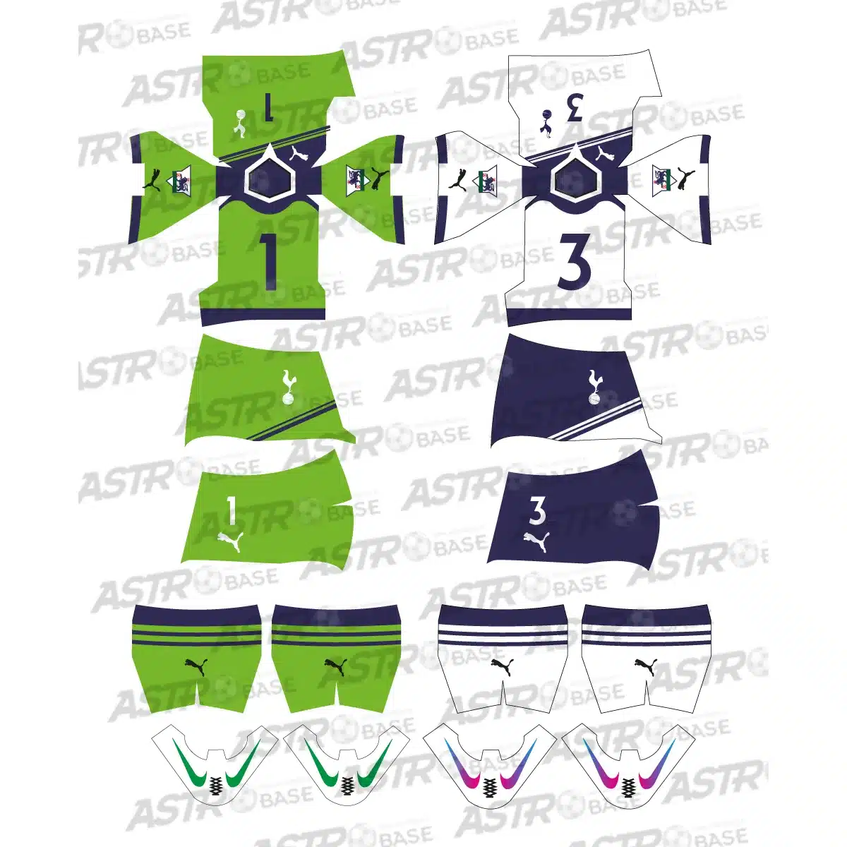 Tottenham 2010 / 2011